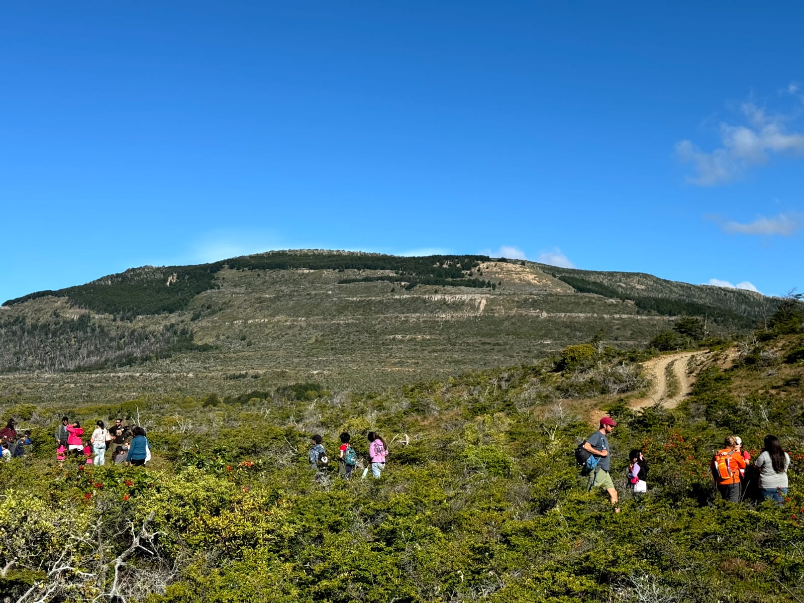 Actividad de Cuenca Viva